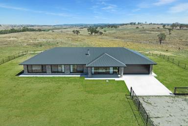 Mixed Farming For Sale - NSW - Parkesbourne - 2580 - Dual Homes on 120 Acres | Perfect Investment or Multi-Family Living (Image 2)