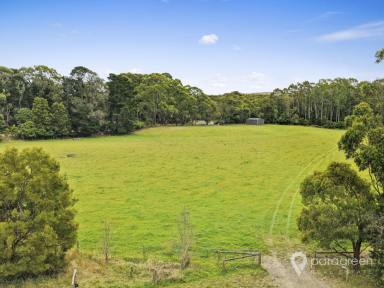 Lifestyle For Sale - VIC - Bennison - 3960 - Ideal Lifestyle Building Block  - 3 Titles Adjoining the Creek and Rail Trail  (Image 2)