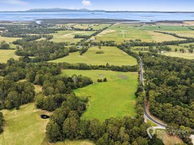 Lifestyle For Sale - VIC - Bennison - 3960 - Ideal Lifestyle Building Block  - 3 Titles Adjoining the Creek and Rail Trail  (Image 2)