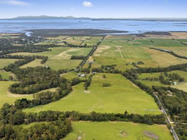 Lifestyle For Sale - VIC - Bennison - 3960 - Ideal Lifestyle Block  - 2 Titles Adjoining the River and Rail Trail  (Image 2)