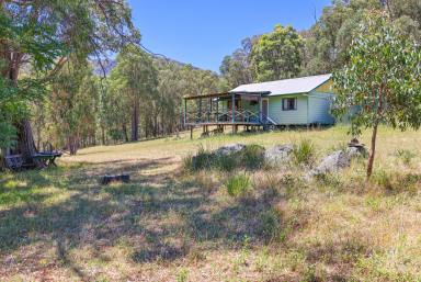 Lifestyle For Sale - NSW - Woolomin - 2340 - HIDDEN RETREAT WITH LOTS OF POTENTIAL (Image 2)
