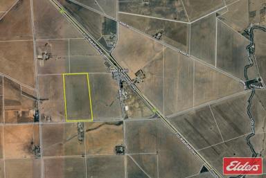 Residential Block For Sale - SA - Lower Light - 5501 - What a Location, 69.9 approx. Acres in Lower Light  (Image 2)