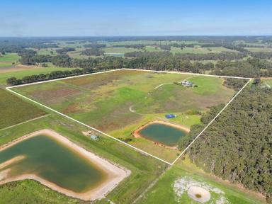 Lifestyle For Sale - WA - Osmington - 6285 - TREE CHANGE LIFESTYLE OPPORTUNITY  (Image 2)