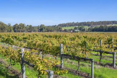 Lifestyle For Sale - WA - Osmington - 6285 - TREE CHANGE LIFESTYLE OPPORTUNITY  (Image 2)