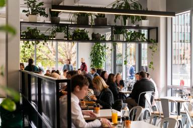 Business For Sale - ACT - Barton - 2600 - Day time cafe in prime location - Barton  (Image 2)