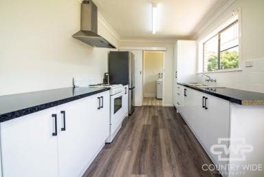 House For Sale - NSW - Glen Innes - 2370 - Well-Maintained Brick Home in Quiet Glen Innes Location  (Image 2)