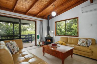 House For Sale - QLD - Macleay Island - 4184 - 2109m² Double Block, Dual Street Access, Walk to the Beach, Beautiful Established Gardens  (Image 2)