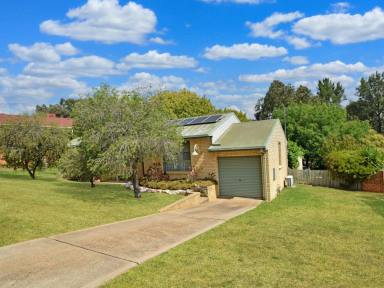 House For Sale - NSW - Young - 2594 - 3 Bedroom Home in a Desirable Location  (Image 2)