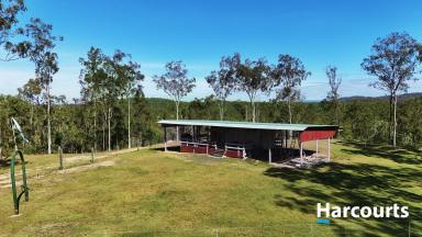 Lifestyle For Sale - QLD - Good Night - 4671 - MULTIPLE OPPORTUNITIES  (Image 2)