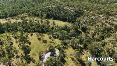 Lifestyle For Sale - QLD - Good Night - 4671 - MULTIPLE OPPORTUNITIES  (Image 2)