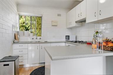 House For Sale - SA - St Morris - 5068 - Perfect for Home Owners or Investors  (Image 2)