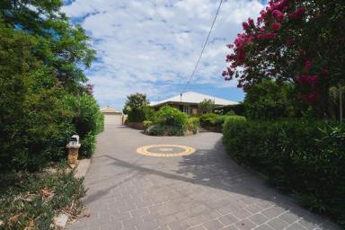 House For Sale - NSW - Moree - 2400 - Premium Living, Privacy & Pool  (Image 2)