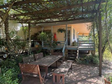 Lifestyle For Sale - QLD - Fletcher - 4381 - Heart of wine country Ballandean and Stanthorpe  (Image 2)