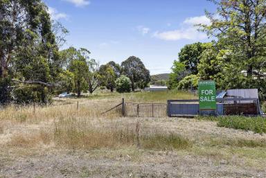 Residential Block For Sale - VIC - Heathcote South - 3523 - Build Your Dream  (Image 2)