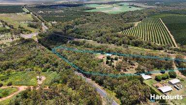 Lifestyle For Sale - QLD - Alloway - 4670 - SPACIOUS ACREAGE LIVING WITH LARGE SHED CLOSE TO TOWN!  (Image 2)