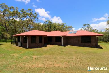Lifestyle For Sale - QLD - Alloway - 4670 - SPACIOUS ACREAGE LIVING WITH LARGE SHED CLOSE TO TOWN!  (Image 2)