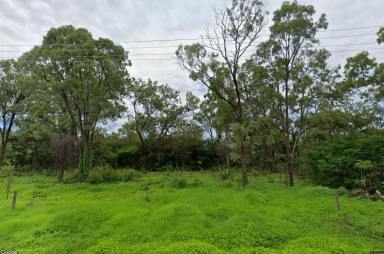 Acreage/Semi-rural For Sale - QLD - Mutchilba - 4872 - Flat 1.2Ha Block in Prime Township Area - Mutchilba  (Image 2)