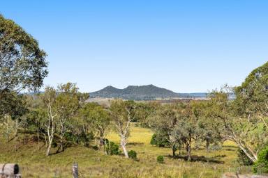 Acreage/Semi-rural For Sale - QLD - Biddeston - 4401 - Private Hilltop Acreage on 4 Acres  (Image 2)