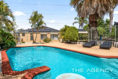 House For Sale - WA - Success - 6164 - Amazing Entertaining, Amazing Family Home!  (Image 2)