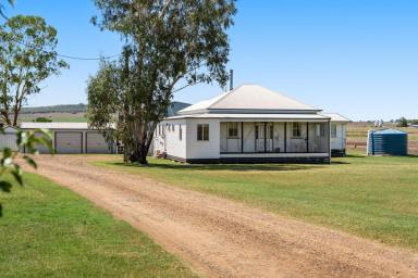 Cropping For Sale - QLD - Felton - 4358 - NAGIRRAH — Prime Felton Valley Farming Holding  (Image 2)