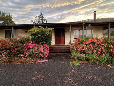 House For Sale - TAS - Mole Creek - 7304 - A Rare Dual-Residence Opportunity - Mole Creek  (Image 2)