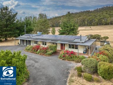 House For Sale - TAS - Mole Creek - 7304 - A Rare Dual-Residence Opportunity - Mole Creek  (Image 2)