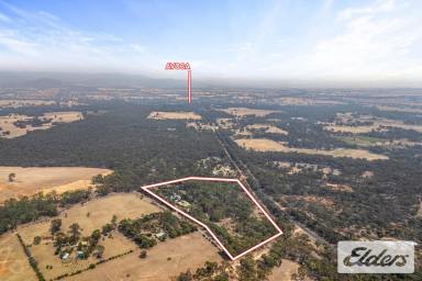 House For Sale - VIC - Avoca - 3467 - Expansive Family Living on a Lifestyle Scale  (Image 2)