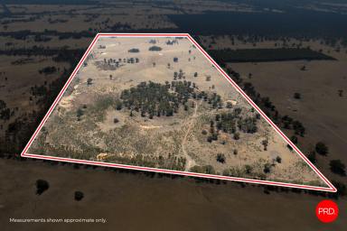 House For Sale - VIC - Bailieston - 3608 - 177.46ha across Two Titles - Versatile Farmland  (Image 2)