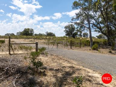 House For Sale - VIC - Bailieston - 3608 - 177.46ha across Two Titles - Versatile Farmland  (Image 2)