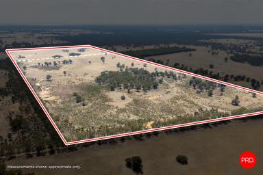 House For Sale - VIC - Bailieston - 3608 - 177.46ha across Two Titles - Versatile Farmland  (Image 2)