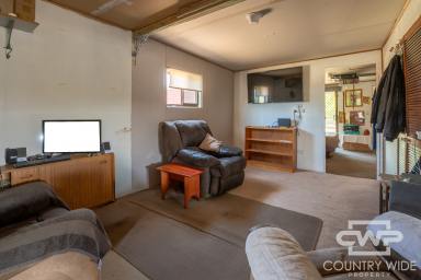 Lifestyle For Sale - NSW - Emmaville - 2371 - Big Country Living, Easy Distance to Town  (Image 2)