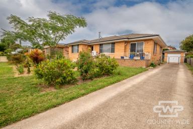 House For Sale - NSW - Glen Innes - 2370 - Three Bedroom Brick Home  (Image 2)