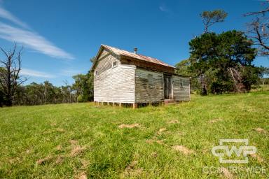Acreage/Semi-rural For Sale - NSW - Stannum - 2371 - One-of-a-Kind Historic Acreage  (Image 2)