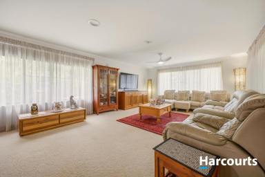 House For Sale - QLD - South Isis - 4660 - 1 ACRE OF BEAUTIFUL SELF SUFFICENT LIVING  (Image 2)