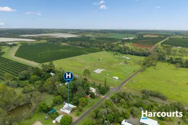 House For Sale - QLD - South Isis - 4660 - 1 ACRE OF BEAUTIFUL SELF SUFFICENT LIVING  (Image 2)
