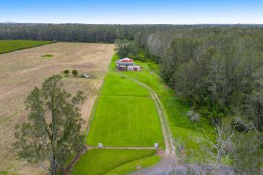 Acreage/Semi-rural For Sale - NSW - Crescent Head - 2440 - Rare Coastal Acreage with Scale, Creek Frontage & Real Future Upside  (Image 2)