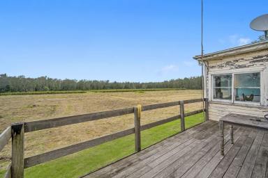 Acreage/Semi-rural For Sale - NSW - Crescent Head - 2440 - Rare Coastal Acreage with Scale, Creek Frontage & Real Future Upside  (Image 2)