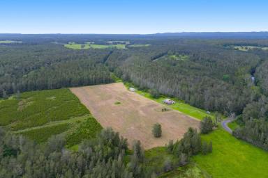 Acreage/Semi-rural For Sale - NSW - Crescent Head - 2440 - Rare Coastal Acreage with Scale, Creek Frontage & Real Future Upside  (Image 2)