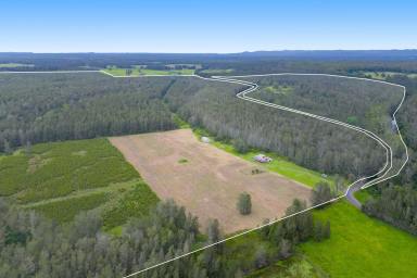 Acreage/Semi-rural For Sale - NSW - Crescent Head - 2440 - Rare Coastal Acreage with Scale, Creek Frontage & Real Future Upside  (Image 2)