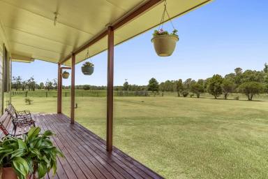 Lifestyle For Sale - NSW - Mongogarie - 2470 - 25 Acres of Rural Serenity  (Image 2)