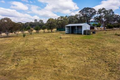 Residential Block For Sale - NSW - Mudgee - 2850 - CLAIM YOUR PIECE OF WINDEYER  (Image 2)