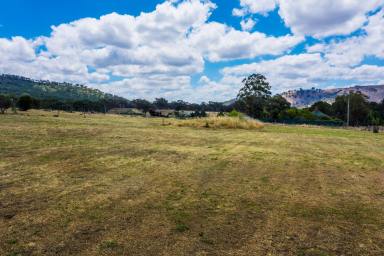 Residential Block For Sale - NSW - Mudgee - 2850 - CLAIM YOUR PIECE OF WINDEYER  (Image 2)