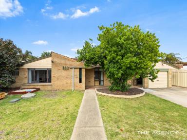 House For Sale - WA - South Lake - 6164 - A Family Home With It All  (Image 2)