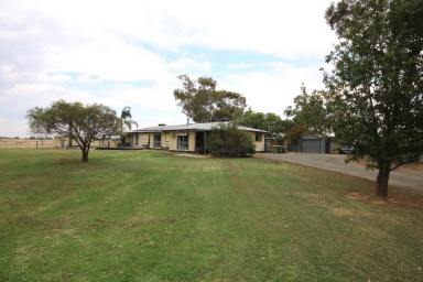 Cropping For Sale - VIC - Rochester - 3561 - SPACE, COMFORT & RURAL LIFESTYLE ON 6 ACRES  (Image 2)