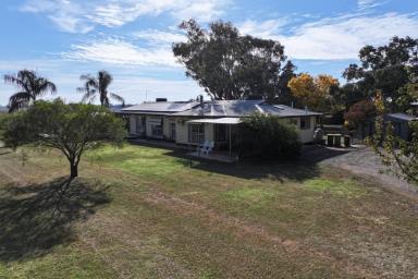 Cropping For Sale - VIC - Rochester - 3561 - SPACE, COMFORT & RURAL LIFESTYLE ON 6 ACRES  (Image 2)