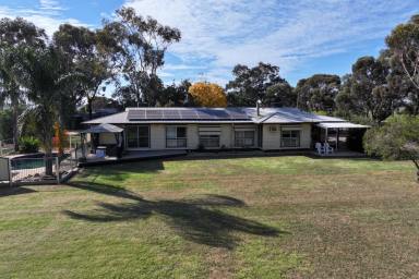 Cropping For Sale - VIC - Rochester - 3561 - SPACE, COMFORT & RURAL LIFESTYLE ON 6 ACRES  (Image 2)