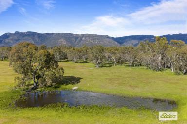 Other (Rural) For Sale - VIC - Ledcourt - 3385 - 180 Acres - Productive Grazing With Stunning Grampians Views  (Image 2)