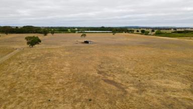 Mixed Farming Auction - SA - Kalangadoo - 5278 - Universal opportunity  (Image 2)