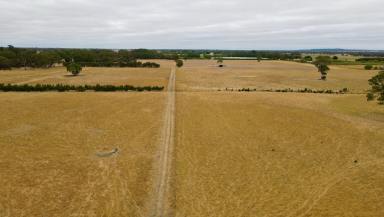 Mixed Farming Auction - SA - Kalangadoo - 5278 - Universal opportunity  (Image 2)