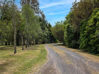 Lifestyle For Sale - NSW - Avoca - 2577 - Charming Country Escape on 12 Acres in Highly Prized Avoca  (Image 2)